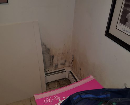 Mold Damage In Long Island NY Mold Damage In Long Island NY