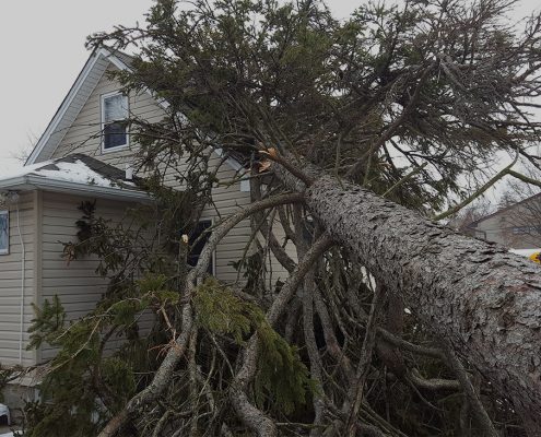 Wind Damage Long Island NY Wind Damage Long Island NY