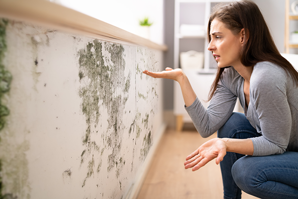 Black Mold with Woman Pointing at It